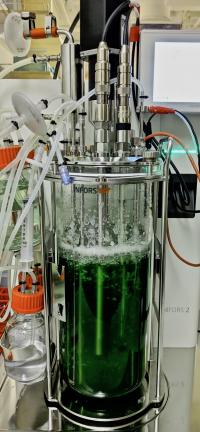 Bioreactor