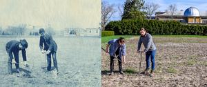 150 years of agricultural insights from the Morrow Plots
