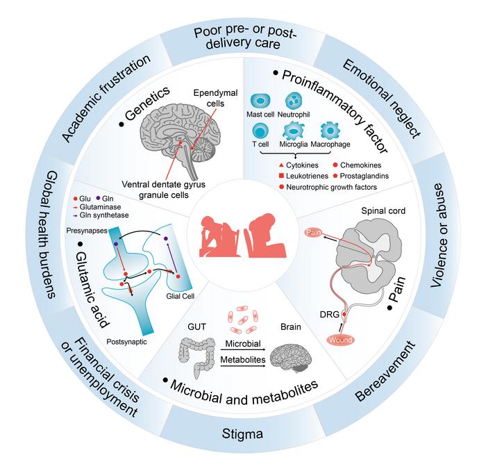 Summary of factors contributing to chronic stress