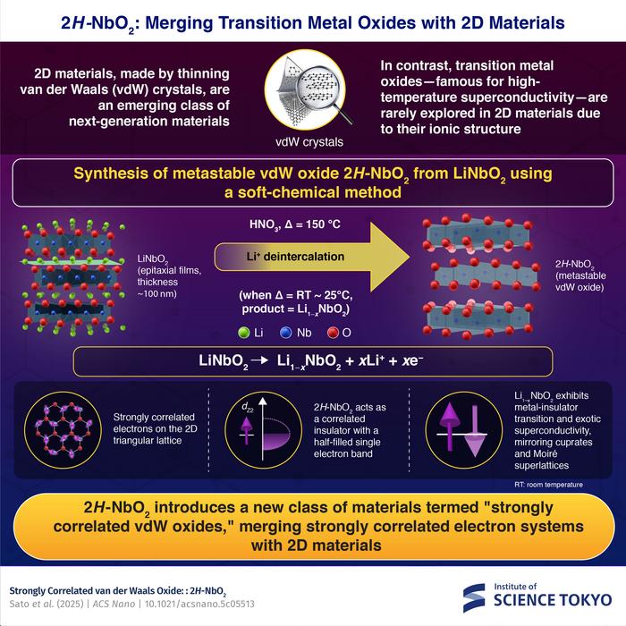 2H-NbO2: merging transition metal oxides with 2D quantum materials