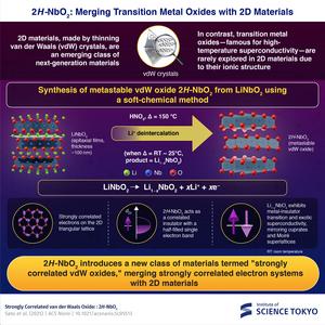 2H-NbO2: merging transition metal oxides with 2D quantum materials
