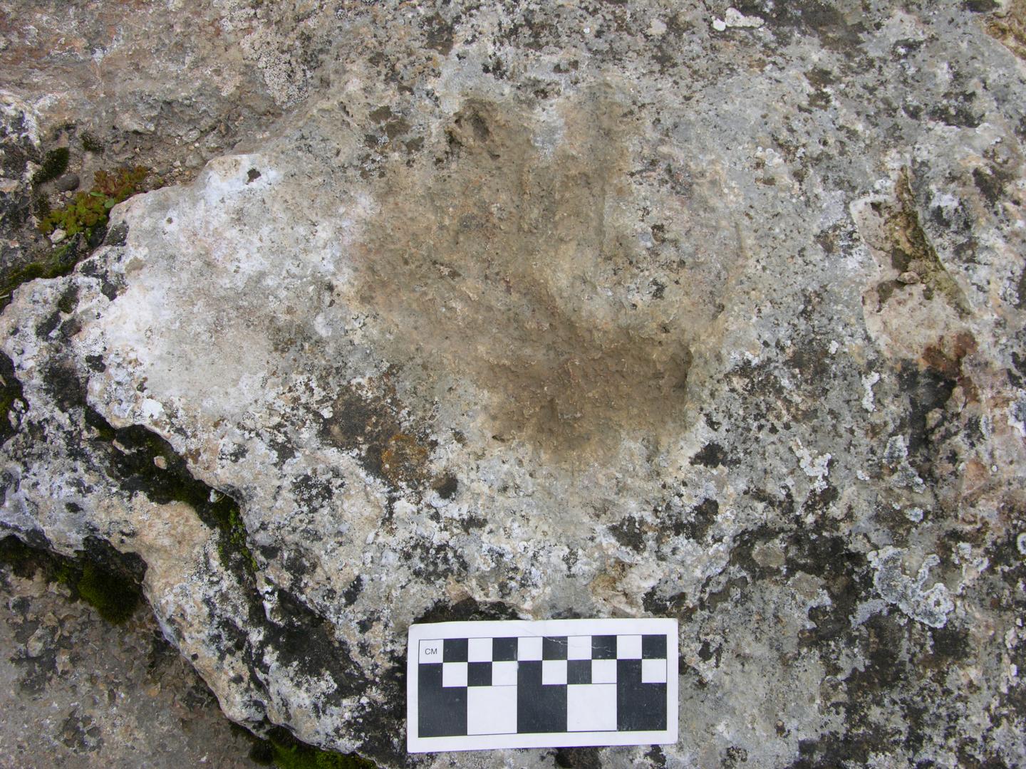 Humans Occupied Tibetan Plateau Thousands of Years Earlier than Previously Thought