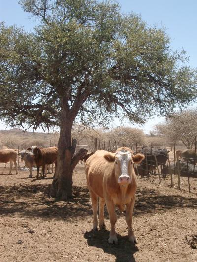 Namibia (1 of 3)