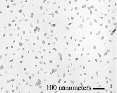 DNA Nanoparticles