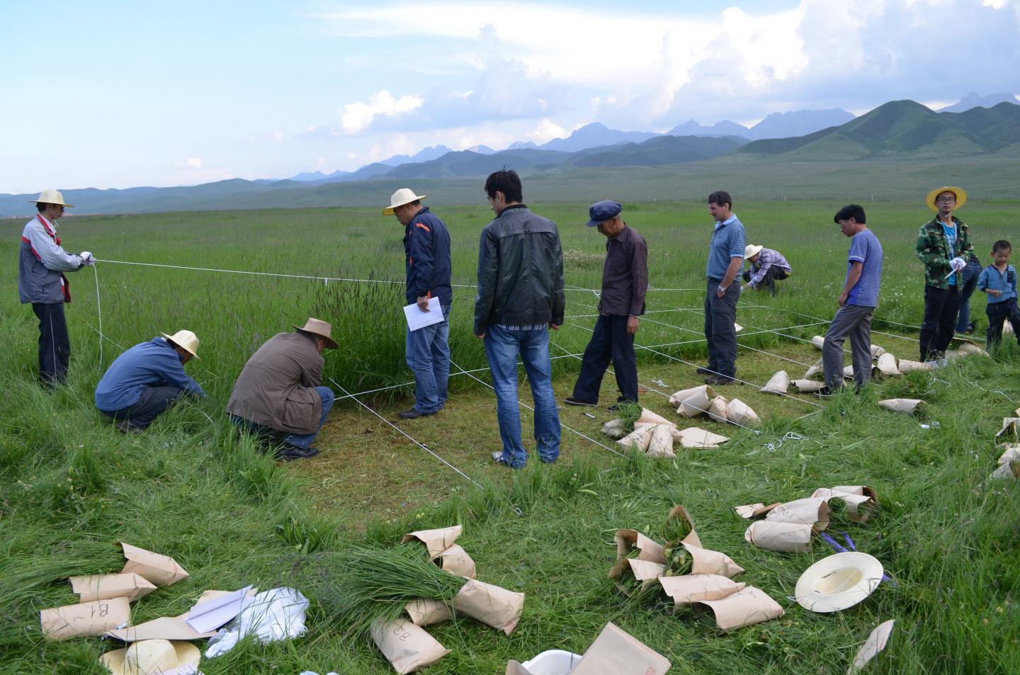 Field Work in China