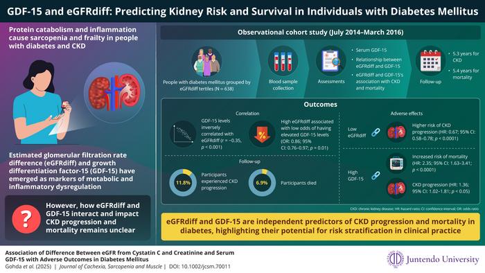 GDF-15 and eGFRdiff: Predicting Kidney Risk and Survival in Individuals with Diabetes Mellitus