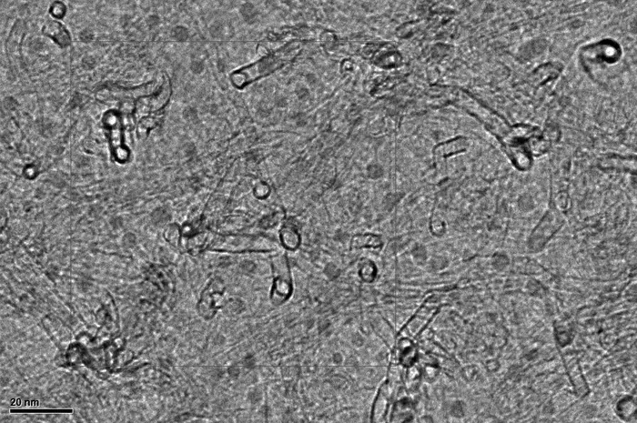 Growth of Carbon Nanotube