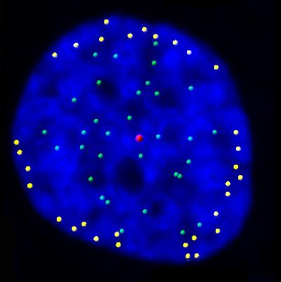 Science Image
