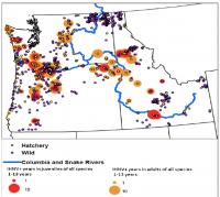 Map of the Pacific Northwest Depicting IHNV Prevalence (2000-2012)