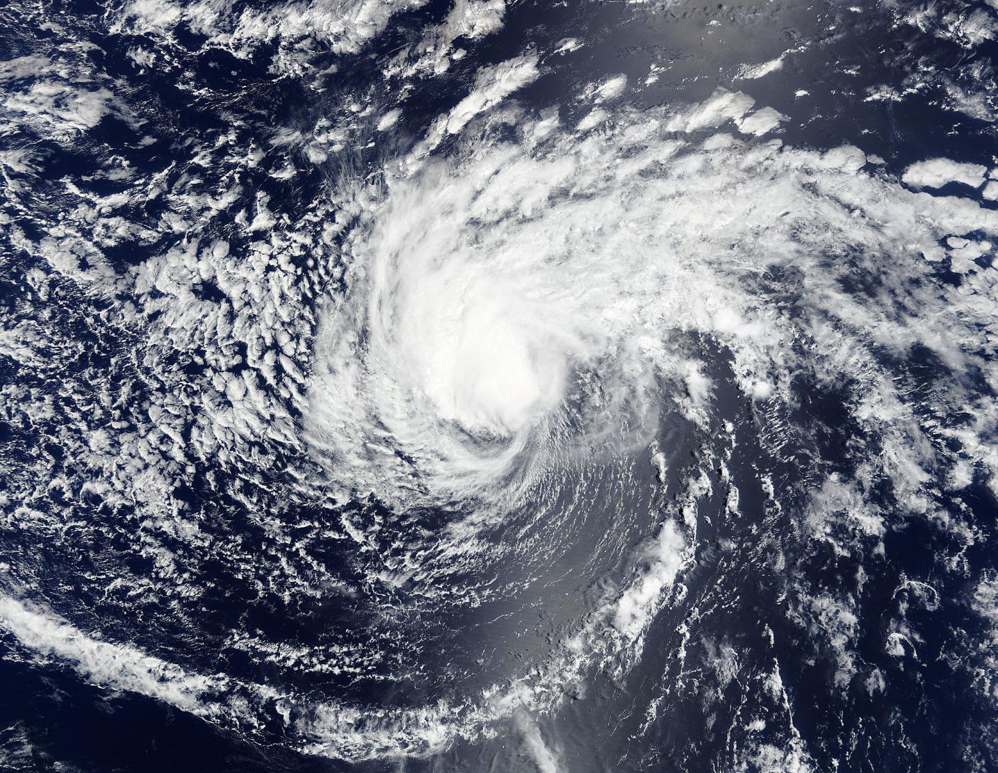 MODIS Image of Enrique