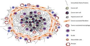 A new review presents the “virtual tumor” concept for AI-driven ecosystem modeling