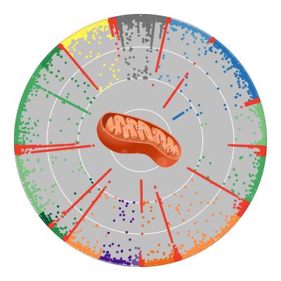 Examining Edits to RNA