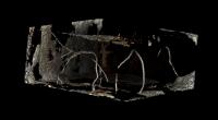 Image from Micro CT Scan