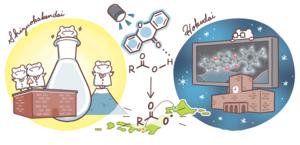Illustration of the collaboration between the University of Shizuoka and WPI-ICReDD