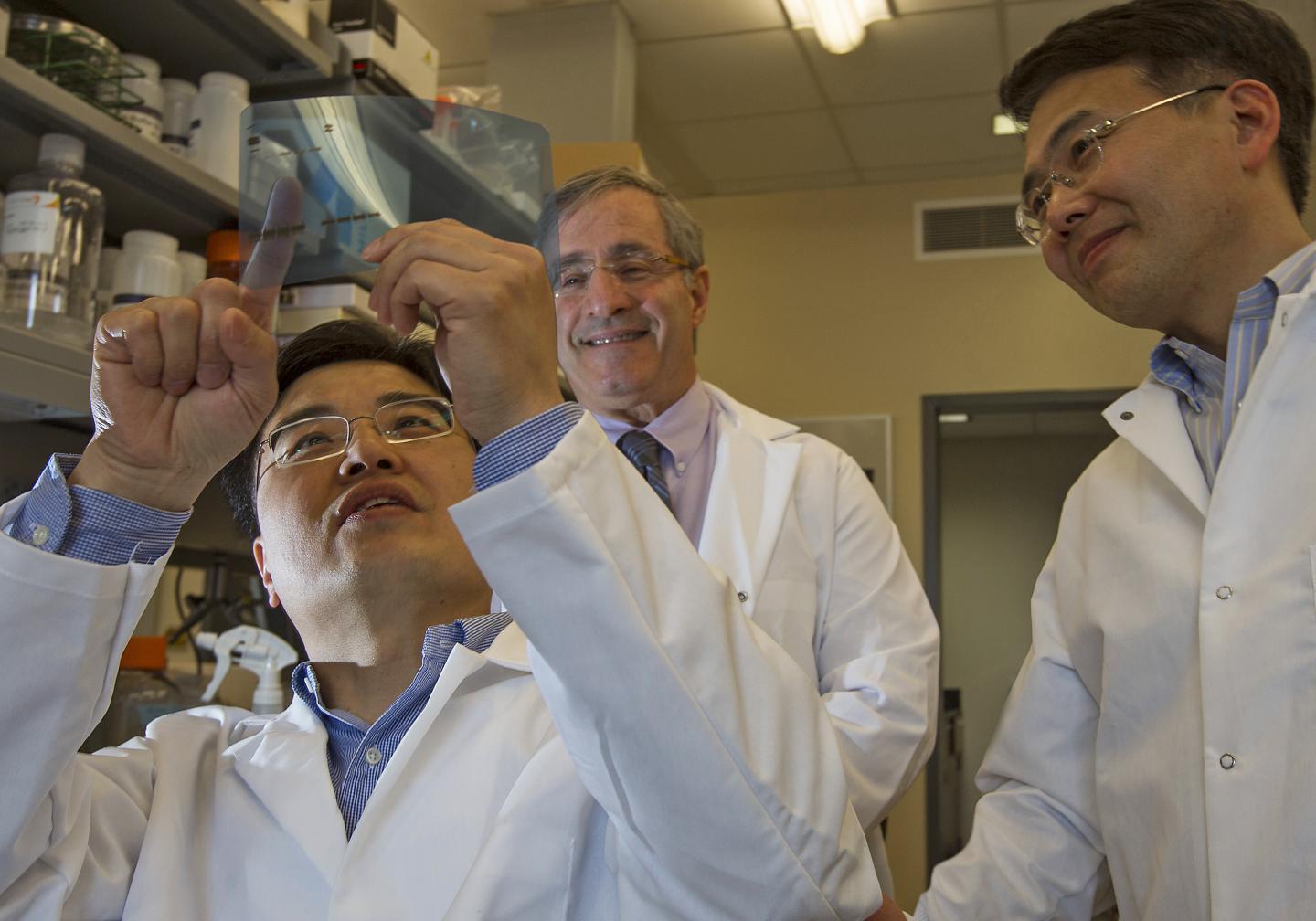 Brown University Researchers 