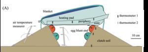Design of incubation experiments
