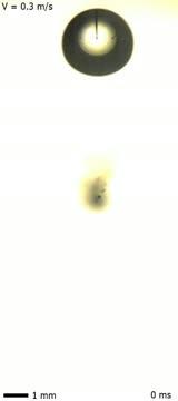 Three Possible Fates for Water Droplets Hitting a Copper Wire