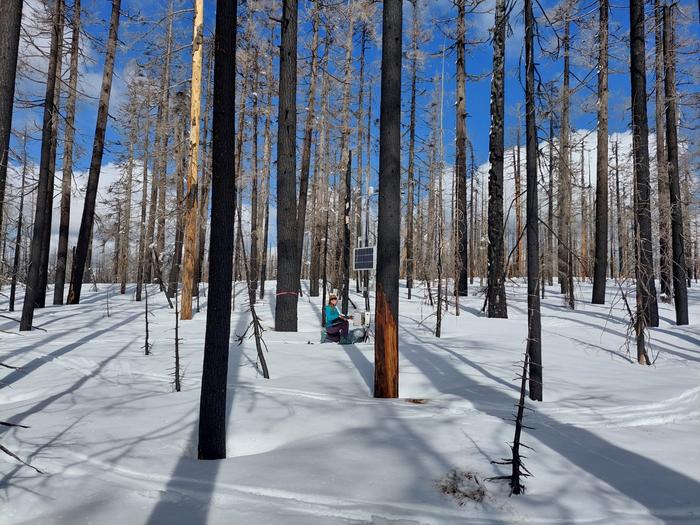 Snow in burned areas