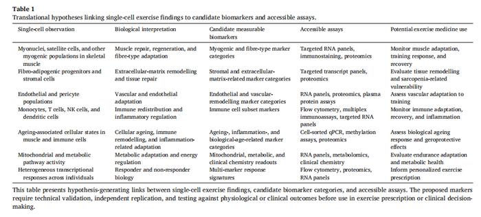 Translational hypotheses linking single-cell exercise findings to candidate biomarkers and accessible assays.