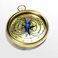 Magnetic Proton