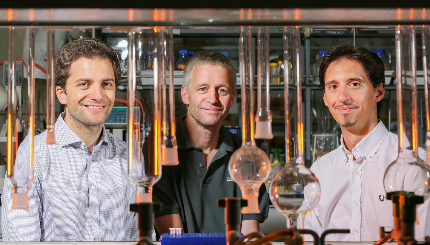 Research Team