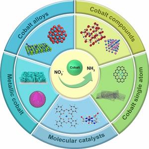Cobalt‑Based Electrocatalysts for Sustainable Nitrate Conversion: Structural Design and Mechanistic Advancements