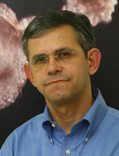 Nissim Benvenisty, Hebrew University of Jerusalem