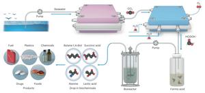 Schematic illustration of the artificial ocean carbon recycling system that captures and converts oceanic CO2 into drop-in biochemicals through decoupled electro-biocatalytic processes