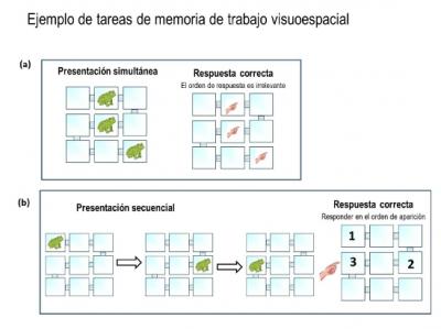 1 of the Memory Tasks Performed in the Study: Children Had to Remember An Increasing Number of Eleme