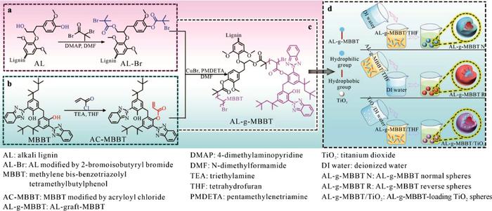 Lignin Learns to Glow: Waste Wood Turned into High-SPF, Light-Clear Sunscreen