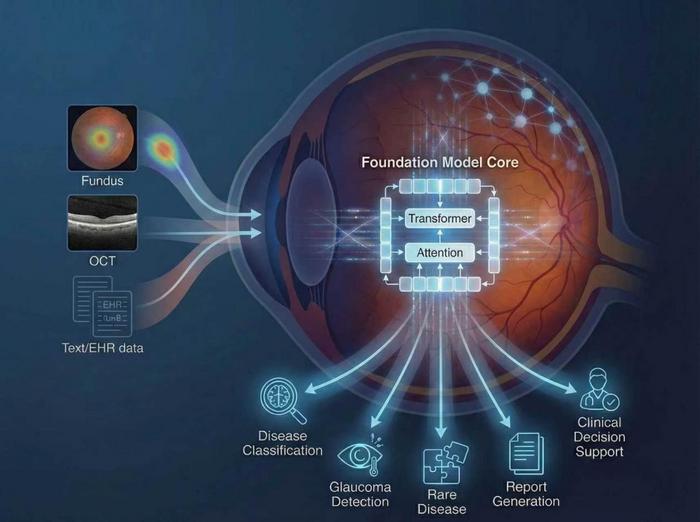 Foundation models for AI-powered eye care.