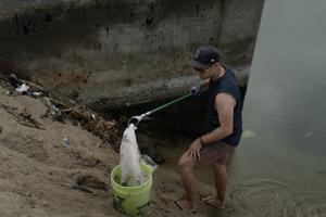 Plastic bag bans and fees have impact