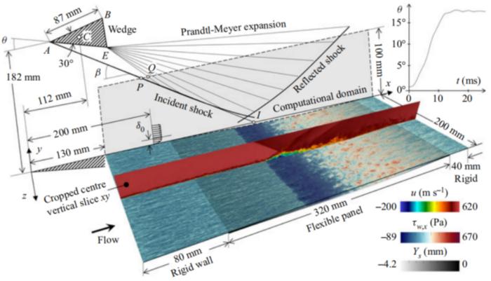 Schematic of a flexible panel subjected to shock-boundary layer interaction