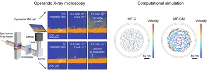 Operando X-ray microscopy and computational modeling revealing the real-time dynamic behavior of lithium deposition