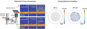Operando X-ray microscopy and computational modeling revealing the real-time dynamic behavior of lithium deposition