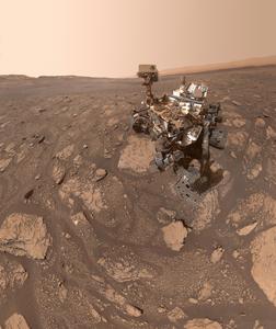 Curiosity selfie
