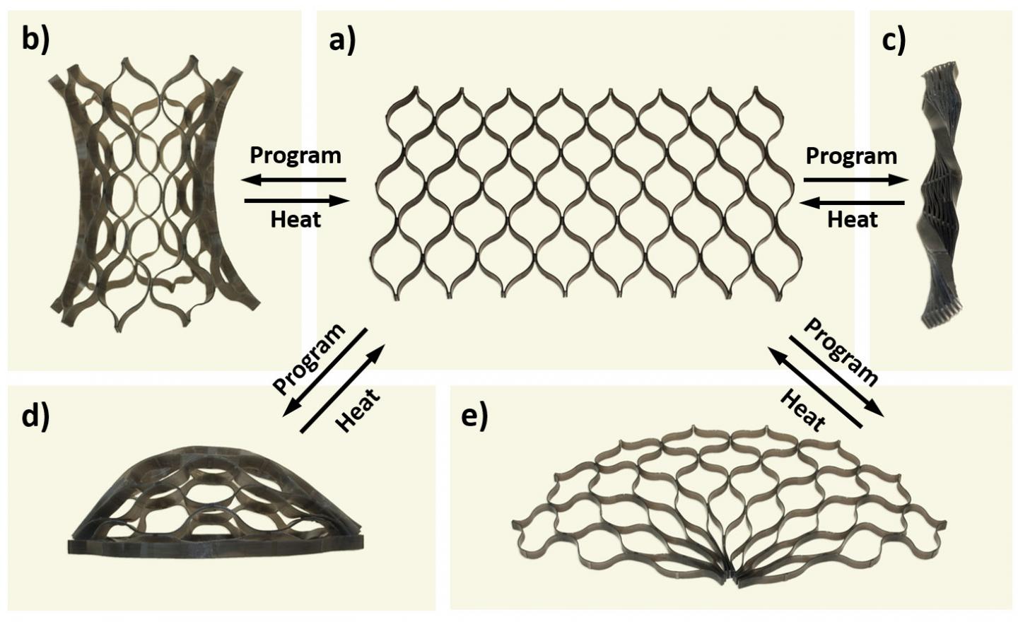 4-D Printing Approach Turns Up the Heat on Shape Shifting (1 of 7)