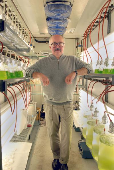 Joel Rosenbaum, Yale University