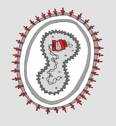 Vaccinia Particle Adapting to Host Immune Defenses
