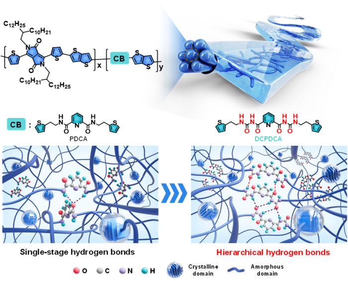 Single-strength vs. hierarchical hydrogen bonds