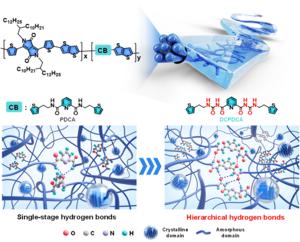 Single-strength vs. hierarchical hydrogen bonds