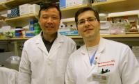 Jianqin Ye and Yerem Yeghiazarians, University of California - San Francisco (2 of 2)
