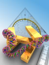 3-D Plasmon Ruler with Protein