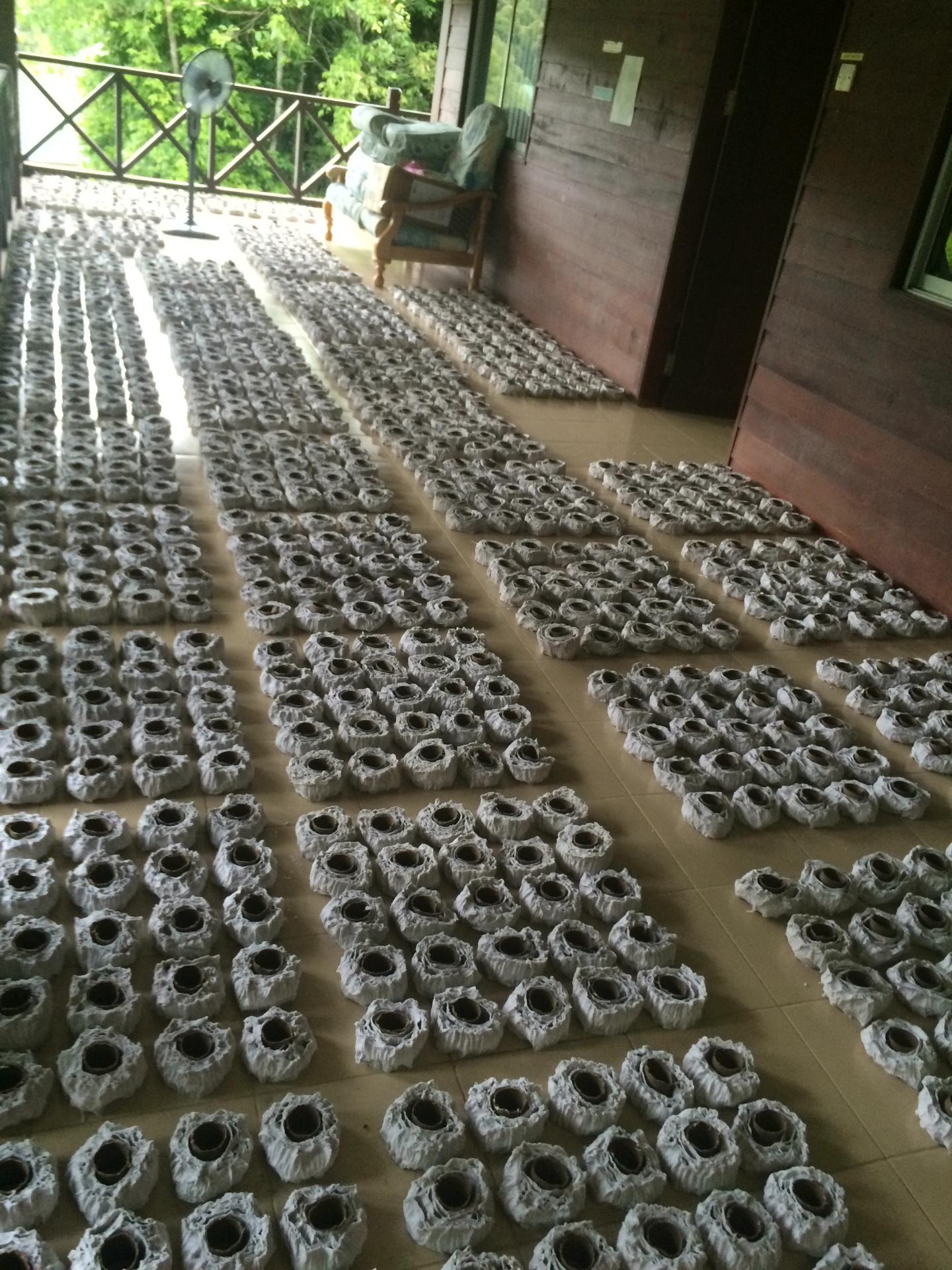 Treated Toilet Paper Rolls