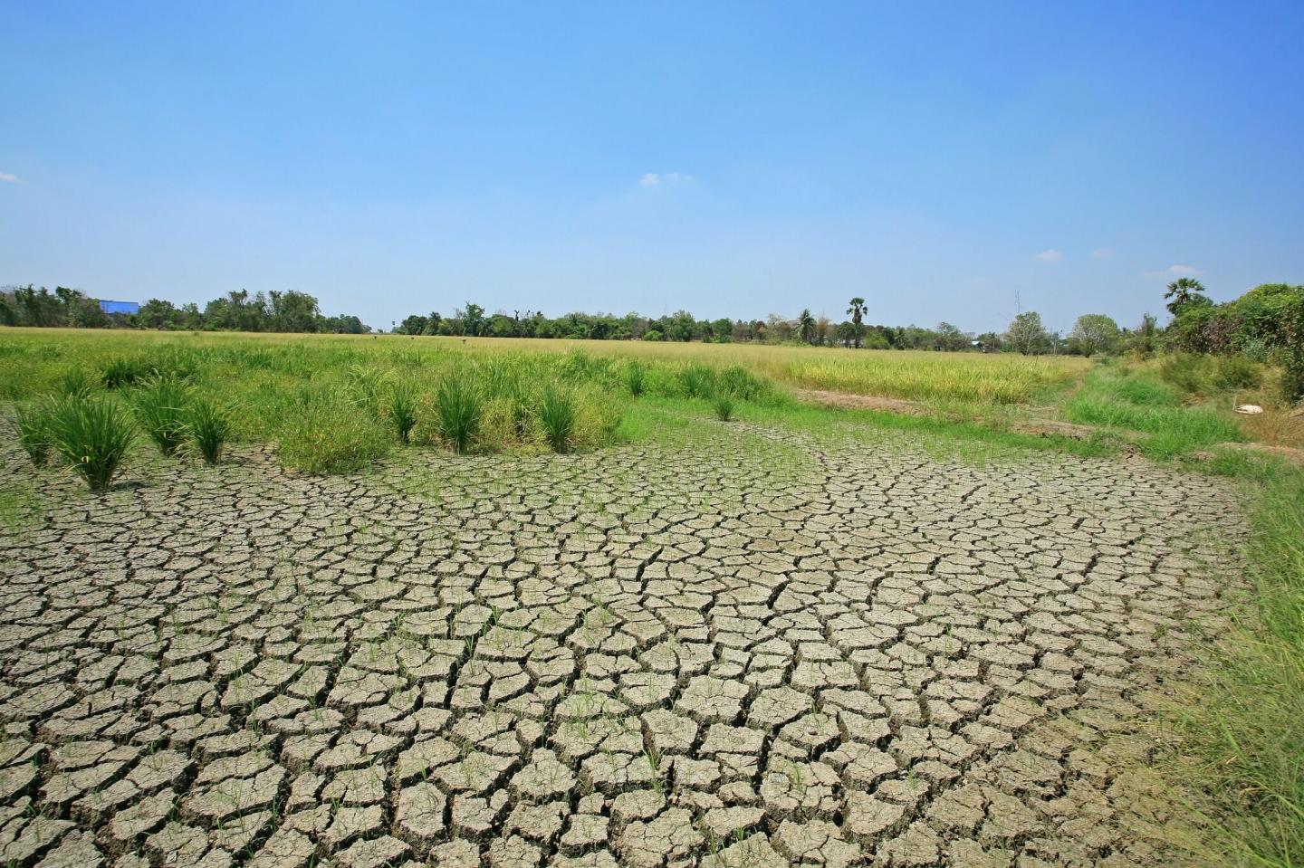 Land Degradation and Restoration