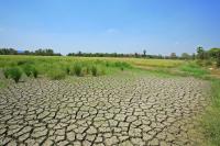 Land Degradation and Restoration
