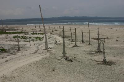 Another Giant Sumatran Quake Ahead? (6 of 7)