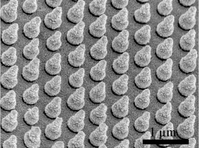 Nanocone Array