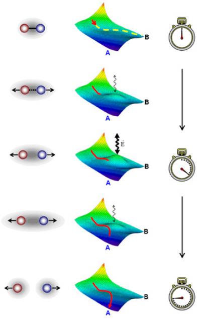 Molecule Chemical Reaction