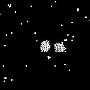 Simulation of gravitational collapse